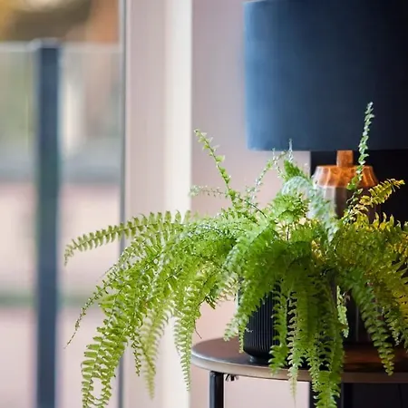 Pionierow 6 33 Апартаменты