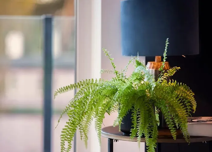 Pionierow 6 33 Appartement